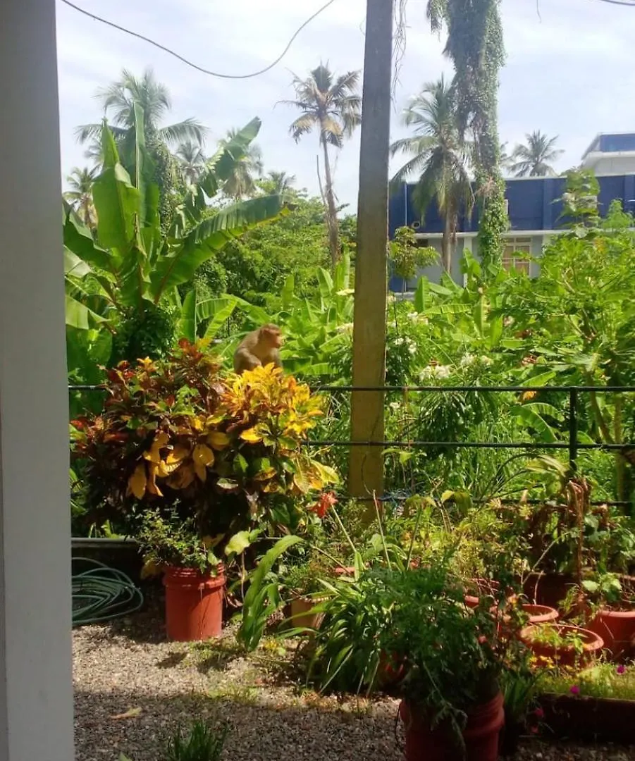 Indeevaram Residency Thiruvananthapuram Apartment